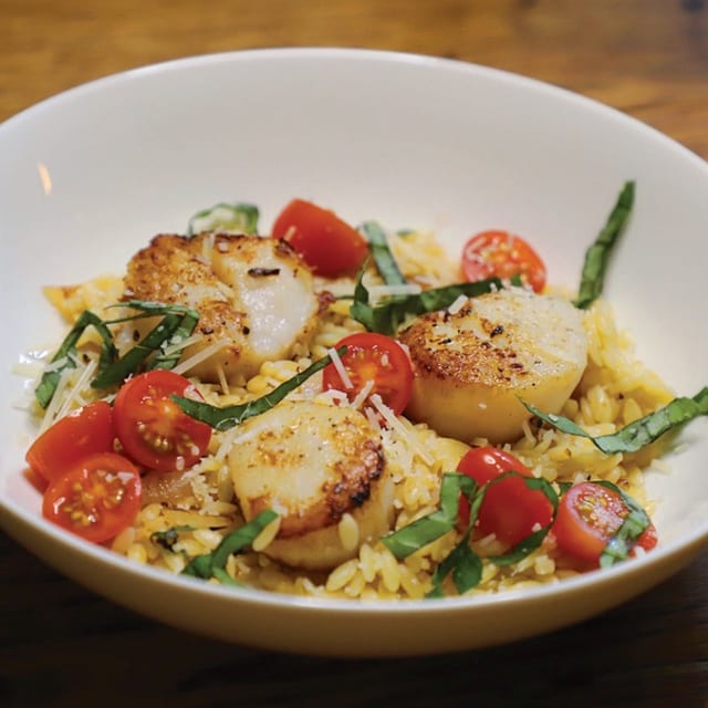 Jr. Scallop.